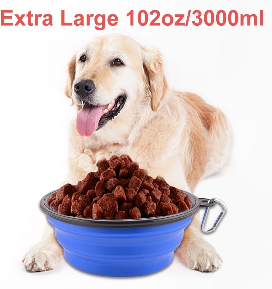 XL Collapsible Dog Travel Bowl With Carabiner